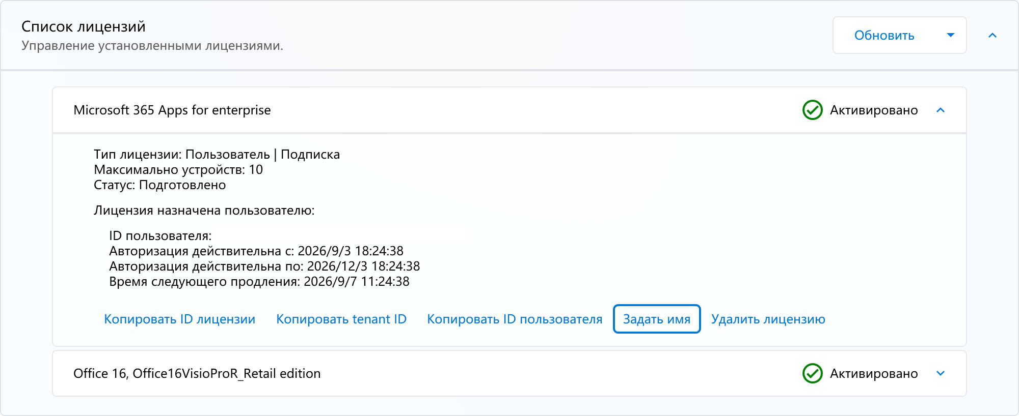 Установка имени лицензии vNext